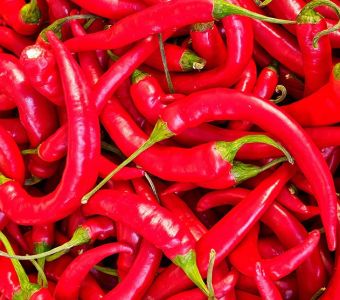 Chilischote